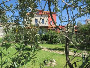 une maison vue à travers les arbres dans un jardin dans l'établissement Solar dos Alperces - Serra da Estrela - Turismo de Aldeia, à Travancinha