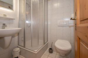 un bagno con doccia, WC e lavandino di Pension Ludwig Thoma a Otterfing Altre 17 foto