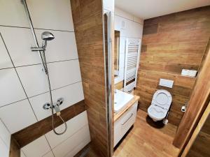 a bathroom with a toilet and a shower at Horský Dům Horalka in Železná Ruda