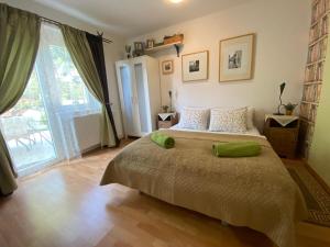 a bedroom with a bed and a large window at Apartment BRIONI in Laško