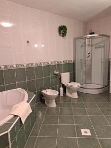 A bathroom at Villa Csilla elegant house