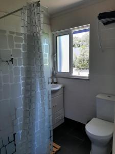 ein Bad mit einem WC und einem Fenster in der Unterkunft A CASA FRANCESA in Anceriz