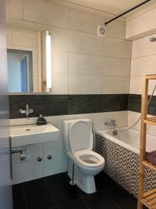 a bathroom with a toilet and a sink and a tub at Feel at home - central & cosy in Basel