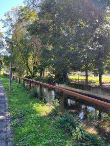 une clôture à côté d'une rivière dans un parc dans l'établissement Feel at home - central & cosy, à Bâle