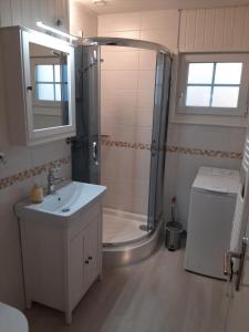 Waabs的住宿－Rosmarinchen，带淋浴、盥洗盆和卫生间的浴室