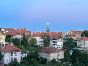 ズノイモにあるDOMOV-VINA Holiday Apartmentの家屋と塔のある街の景色