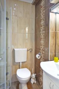 uma casa de banho com um WC, um lavatório e um chuveiro em Marina Apartment em Belgrado