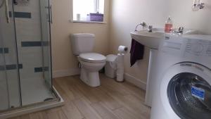 une salle de bain avec un lavabo et une machine à laver dans l'établissement Lovely cosy cottage close to Atlantic beaches, à Dromore West