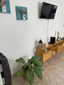 a living room with a tv and a plant at Alquilo departamento por dia. Zona castelar!!! in Castelar