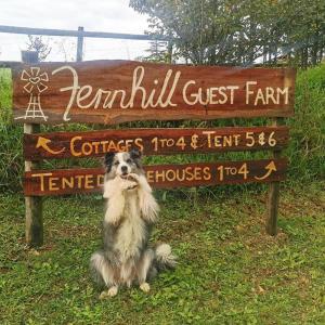 um cão sentado em frente a uma placa em Fernhill Guest Farm em Knysna