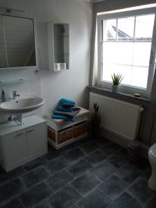 a bathroom with a sink and a toilet and a window at Urlaub auf dem Ferienhof in Berumbur