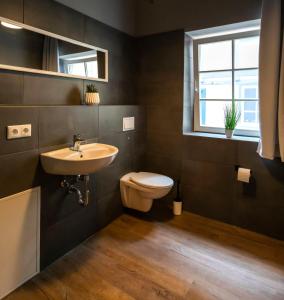 a bathroom with a sink and a toilet and a window at Blauer Stieg in Quedlinburg