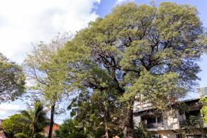 Foto dalla galleria di Das Heim Hotel ad Asunción