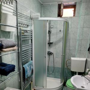 ein Bad mit einer Dusche, einem WC und einem Waschbecken in der Unterkunft Apartament Camelia in Petroşani