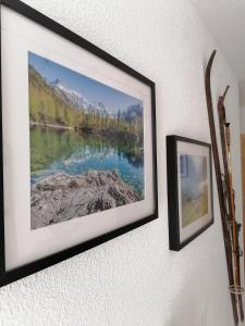 oprawione zdjęcie jeziora i gór na ścianie w obiekcie Living Apart Haslwanter Ferienwohnung w mieście Haiming +30 zdjęć