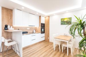 Köök või kööginurk majutusasutuses SCANDIC Apartments Plešivec