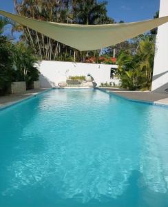 een blauw zwembad met een luifel erboven bij Studio Residencial Almendra in Cabarete