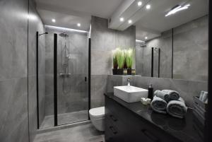 e bagno con doccia, servizi igienici e lavandino. di Green Apartament City Center a Breslavia
