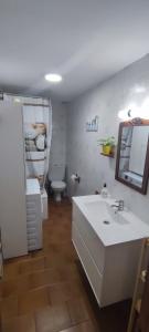 uma casa de banho com um lavatório, um WC e um espelho. em Apartamento MontEsquiBonito Bonito Apartamento en Yésero em Yésero