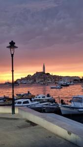 a group of boats docked in a harbor at sunset at ˇDCˇ Modern apartment near the Church in Rovinj