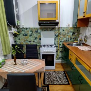eine kleine Küche mit einer Spüle und einem Herd in der Unterkunft Apartament Camelia in Petroşani