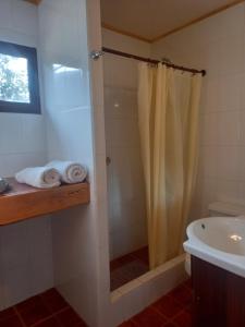 um banheiro com chuveiro e pia em Cabanas Senderos Puyuhuapi em Puerto Puyuhuapi mais 34 fotografias