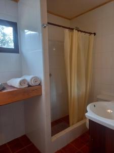 a bathroom with a shower and a sink at Cabanas Senderos Puyuhuapi in Puerto Puyuhuapi