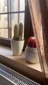 Fotografie z fotogalerie ubytování Guesthouse 12a v destinaci Pristina