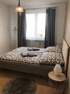sypialnia z dużym łóżkiem i oknem w obiekcie Mieszkanie Osiedle Slichowice, Targi Kielce 3,5km, faktury VAT w Kielcach