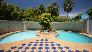 a blue swimming pool with a plant in a garden at Hosteria Mar y Sol in San Andrés