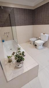 a bathroom with a tub and a toilet and a sink at Vivaterra Apartments - San Telmo in Buenos Aires