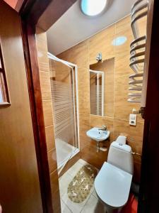 een badkamer met een toilet, een wastafel en een douche bij Pensjonat Sabina in Koszarawa