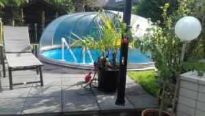 a plant in a pot next to a glass dome at Doms-Baumhammer, Auf dem Baer 4 in Viersen