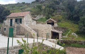 une vieille maison en pierre avec une porte verte sur une colline dans l'établissement Secluded holiday house Postira, Brac - 17571, à Postira