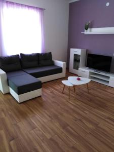 a living room with a couch and a table at Apartments with a parking space Novi Vinodolski - 17596 in Novi Vinodolski