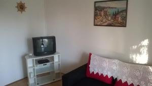 TV a/nebo společenská místnost v ubytování Apartment Barbat 17620c