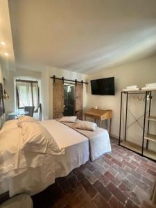 馬薩的住宿－Toscana Made in Love，一间卧室配有一张床和一台平面电视