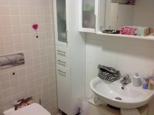 a white bathroom with a sink and a toilet at Apartments with a parking space Sveta Nedelja, Prigorje - 17613 in Sveta Nedjelja