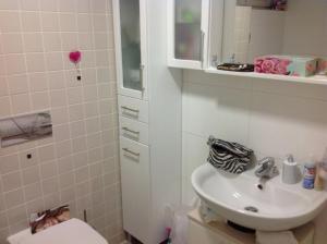 a white bathroom with a sink and a toilet at Apartments with parking spaces Sveta Nedelja, Prigorje - 17613 in Sveta Nedelja