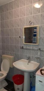 een badkamer met een wastafel, een toilet en een spiegel bij Apartments with a parking space Crikvenica - 17675 in Crikvenica