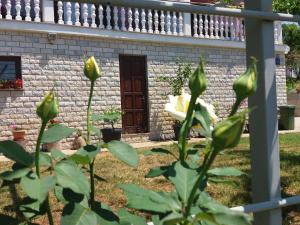 Fotografia z galérie ubytovania Apartment Smolici 17688a v destinácii Labin