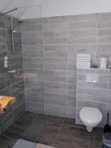 ein Bad mit einer Dusche und einem WC in der Unterkunft Apartments and rooms with parking space Slunj, Plitvice - 17719 in Slunj
