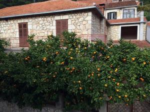 Ein Garten an der Unterkunft Holiday house with a parking space Svirce, Hvar - 17682