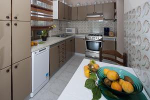 Η κουζίνα ή μικρή κουζίνα στο Family friendly house with a swimming pool Marici, Labin - 17820