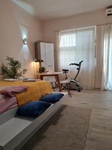 a bedroom with a bed and a table and a treadmill at Angelina apartmani. in Vračar (historical)