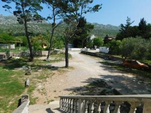 Droga z drzewem i samochodem w obiekcie Apartments by the sea Seline, Paklenica - 17955 w mieście Starigrad-Paklenica