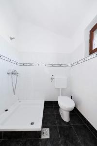 uma casa de banho branca com um WC e uma banheira em Secluded fisherman's cottage Ravna Sika, Kornati - 17947 em Murter