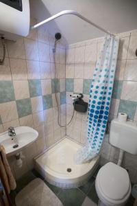 a bathroom with a shower and a toilet and a sink at Apartments by the sea Vis - 17960 in Vis