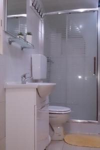 La salle de bains est pourvue d'une douche, de toilettes et d'un lavabo. dans l'établissement Apartments by the sea Novalja, Pag - 17859, à Novalja