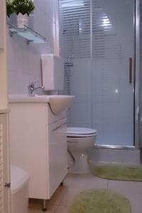 La salle de bains est pourvue de toilettes, d'un lavabo et d'une douche. dans l'établissement Apartments by the sea Novalja, Pag - 17859, à Novalja